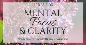 Herbs For Mental Focus & Clarity