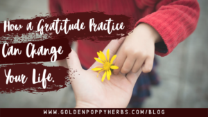 How a Gratitude Practice can change your life