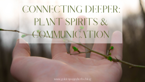 Connecting Deeper: Plant Spirits & Communication