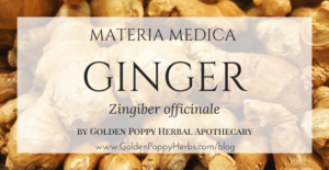 Ginger Materia Medica