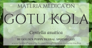 Gotu Kola