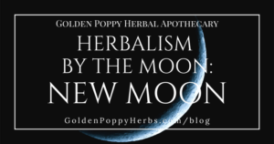 Herbalism by the Moon: The New Moon