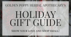 2016 Holiday Gift Guide