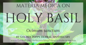 Holy Basil