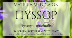 Hyssop