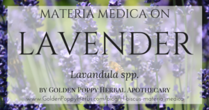 Lavender Materia Medica