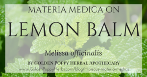 Lemon Balm