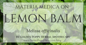 Lemon Balm