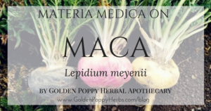 Maca