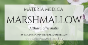 Marshmallow Materia Medica