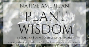 Native American Plant Wisdom: Local Plants Can Teach And Heal