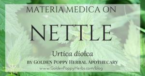 Nettle Materia Medica