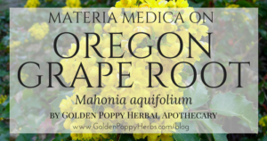 Oregon Grape Root
