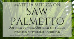 Saw Palmetto