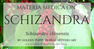 Schizandra Materia Medica