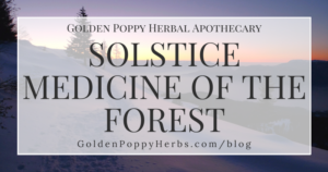 Forest Medicine