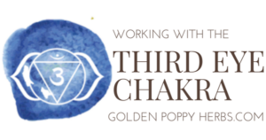 Working With The Third Eye Chakra