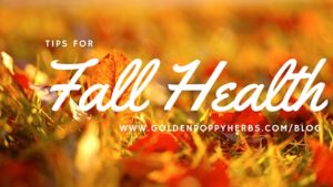 Tips For Fall Health