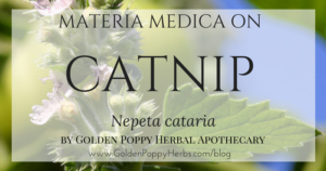 Catnip Materia Medica