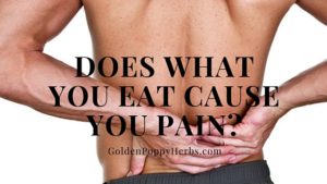Nutrition And Pain...There Is A Connection