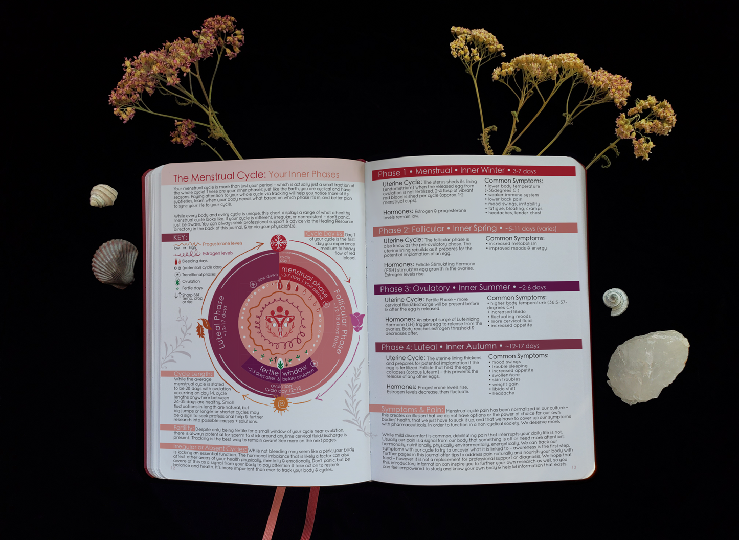 Cycles Journal 2024: Track Your Inner & Outer Moon + Womb Cycles