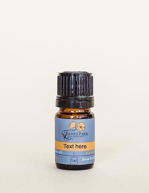 Eucalyptus radiata Essential Oil, Organic 5 mL