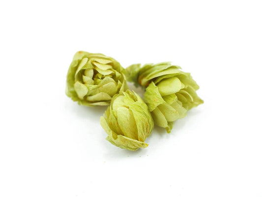 Hops flowers, organic, bulk/oz