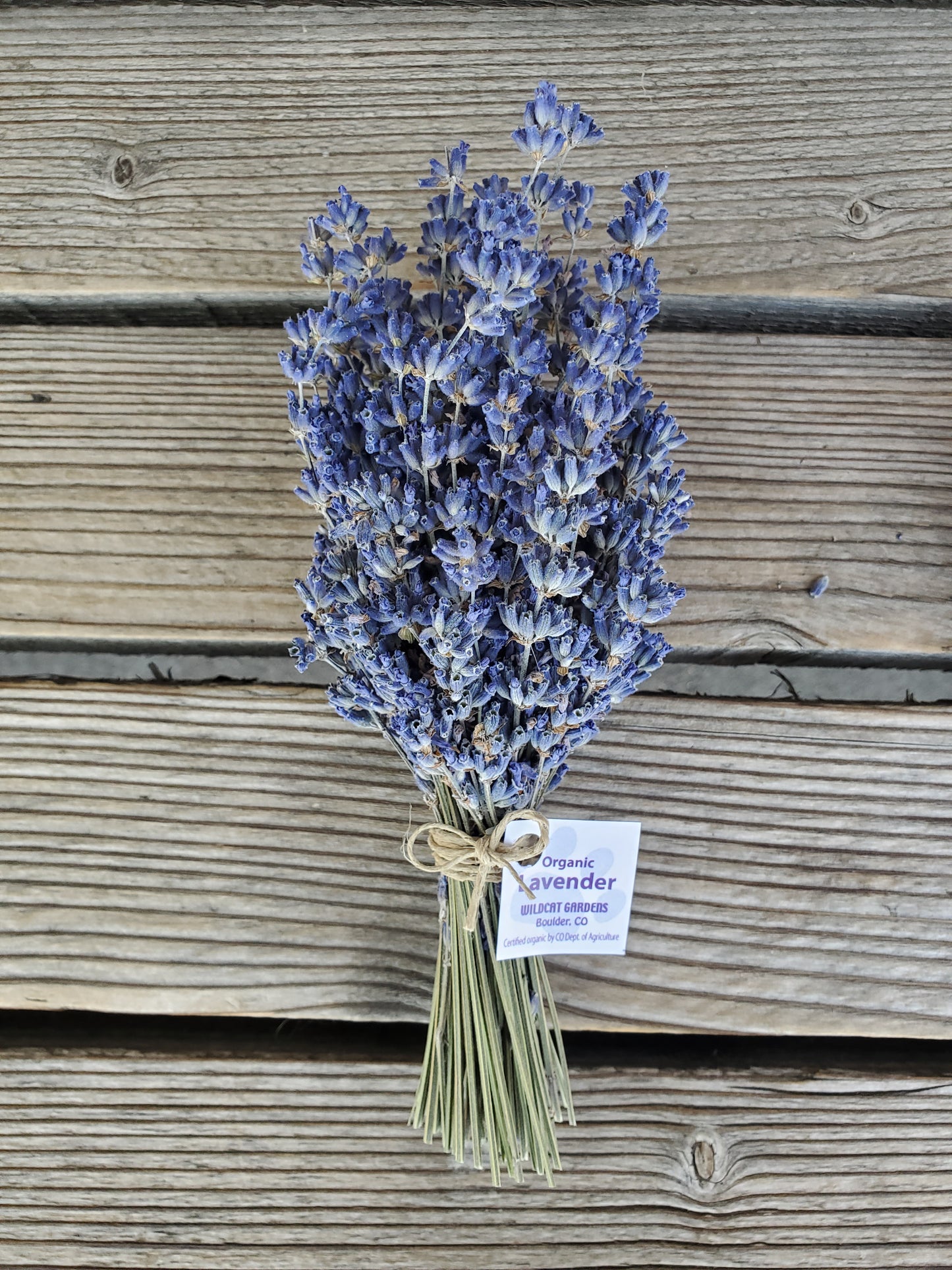 Lavender Bundle - Organic (Wildcat Gardens)