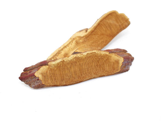 Reishi Mushroom Slices, bulk/oz