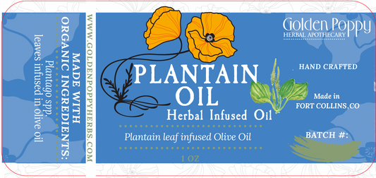 Plantain Leaf Infused Olive Oil, Organic, 1oz bottle