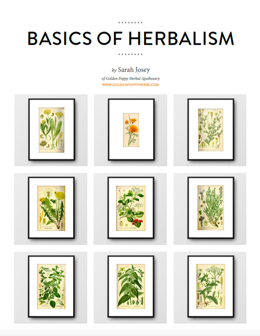 Basics of Herbalism eBook