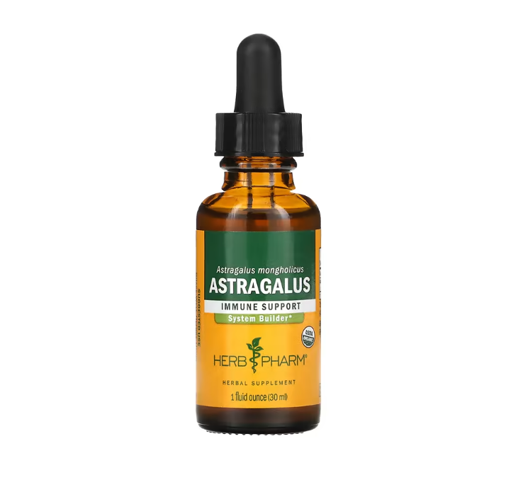 Astragalus, Liquid Extract (1 oz) - Herb Pharm