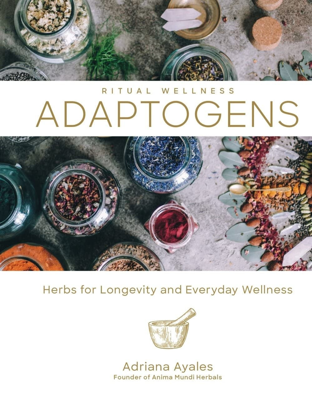 Adaptogens : Herbs for Longevity and Everyday Wellness By  Adriana Ayales