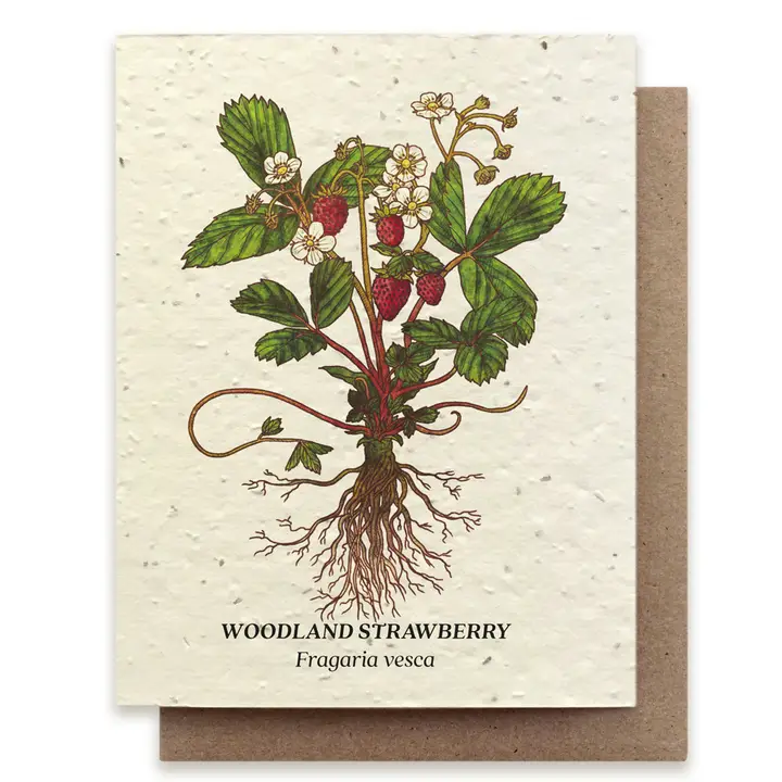 Plantable Seed Card -