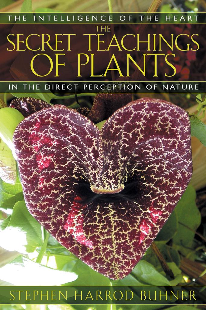 Secret Teachings of Plants - Stephen Buhner