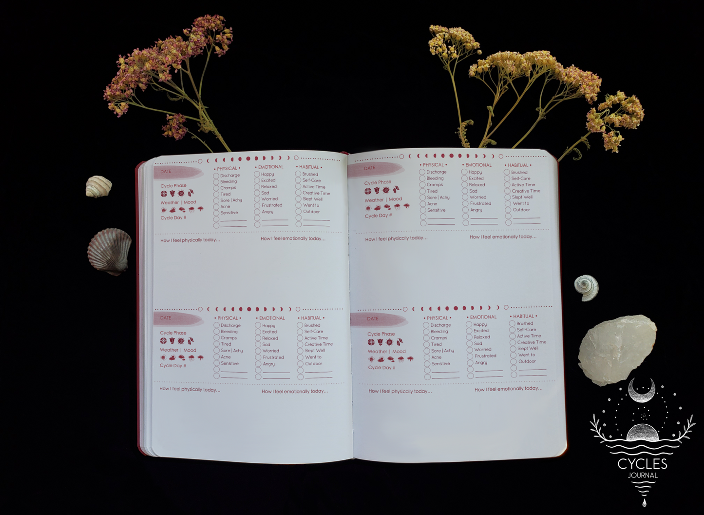 My Moon Cycles Journal: A Menstrual Tracking Journal for Youth