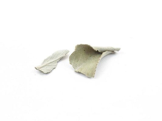 White Ceremonial Sage, Wild-crafted, bulk/oz