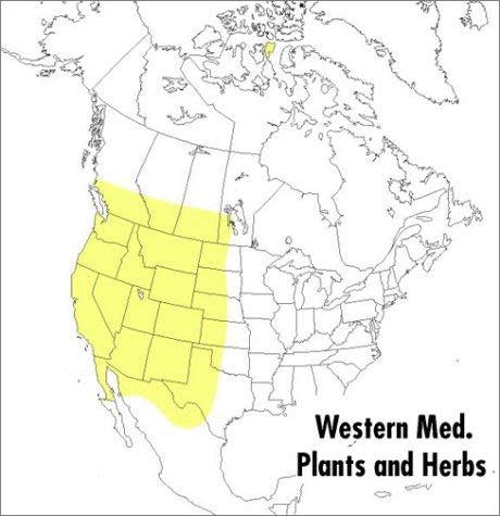 Peterson Field Guide to Western Medicinal Plants & Herbs - Steven Foster