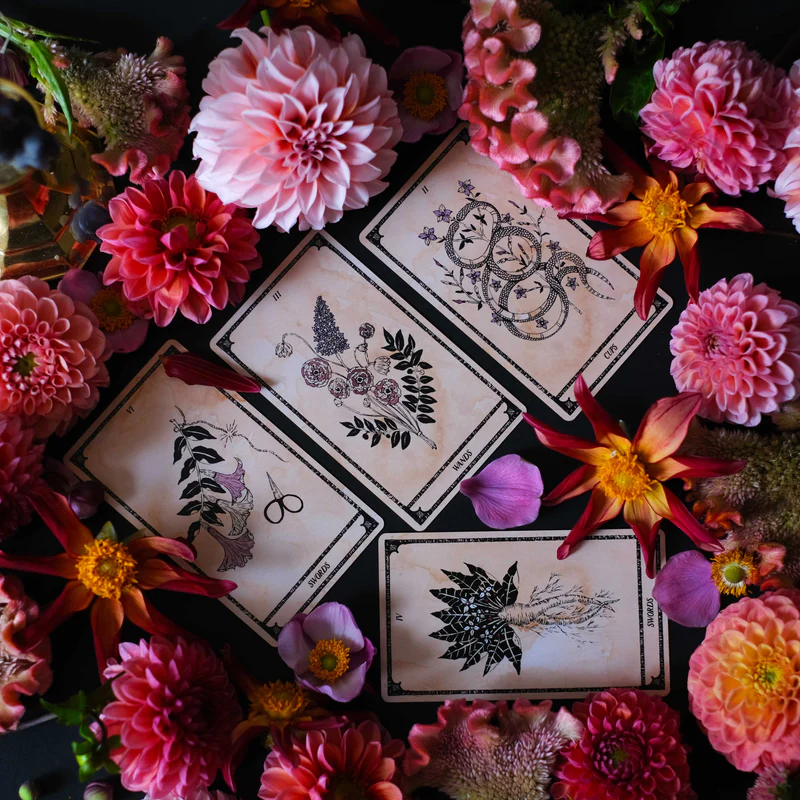 Viola Lux Umbra: Botanical Tarot Deck & Guidebook - Leila & Olive