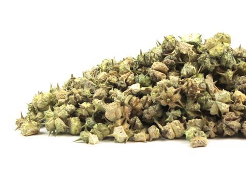 Tribulus fruit, BULK HERB, bulk/oz