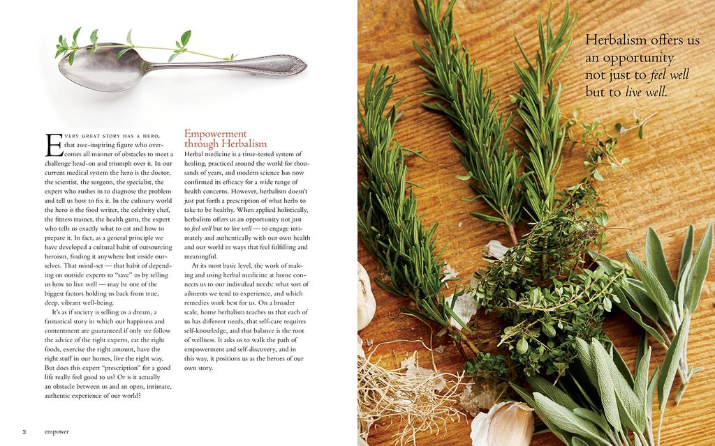 Recipes from the Herbalist’s Kitchen - Brittany Wood Nickerson