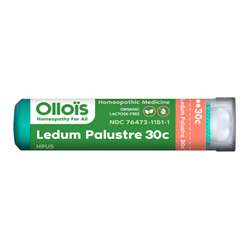 Ledum Palustre Organic Homeopathic Remedy 30c  - Ollois