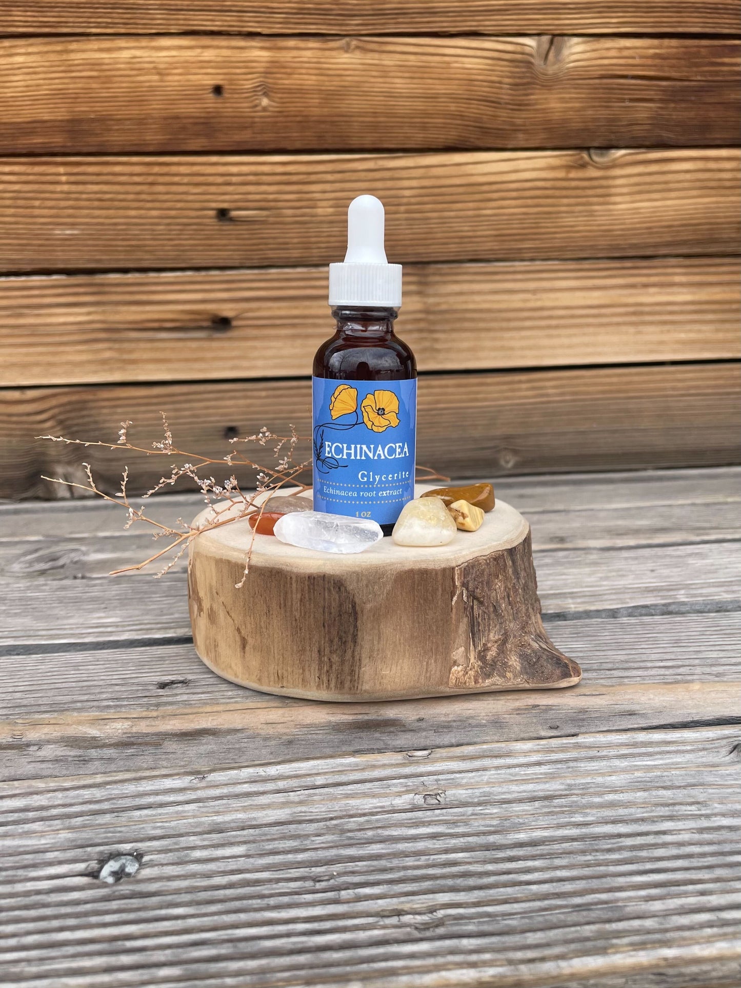 Echinacea Root Glycerin, 1 oz bottle