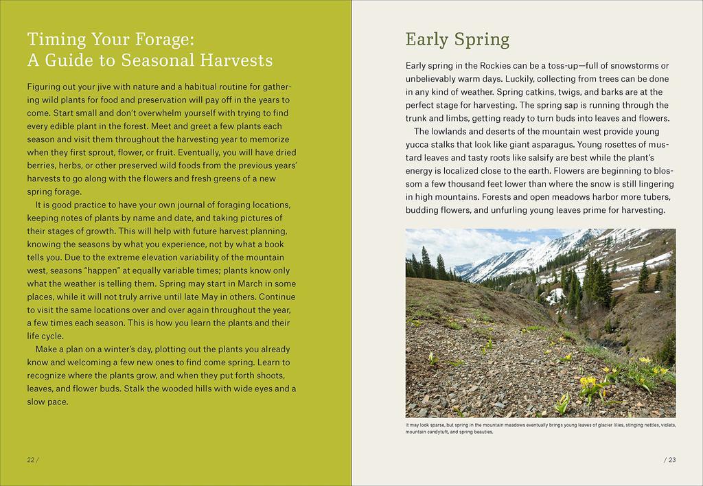 Mountain States Foraging - Briana Wiles