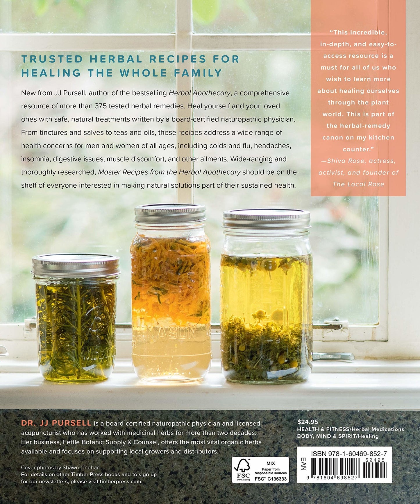 Master Recipes from the Herbal Apothecary: 375 Tinctures, Salves, Teas, Capsules, Oils, and Washes for Whole Body Health and Wellness - JJ Pursell