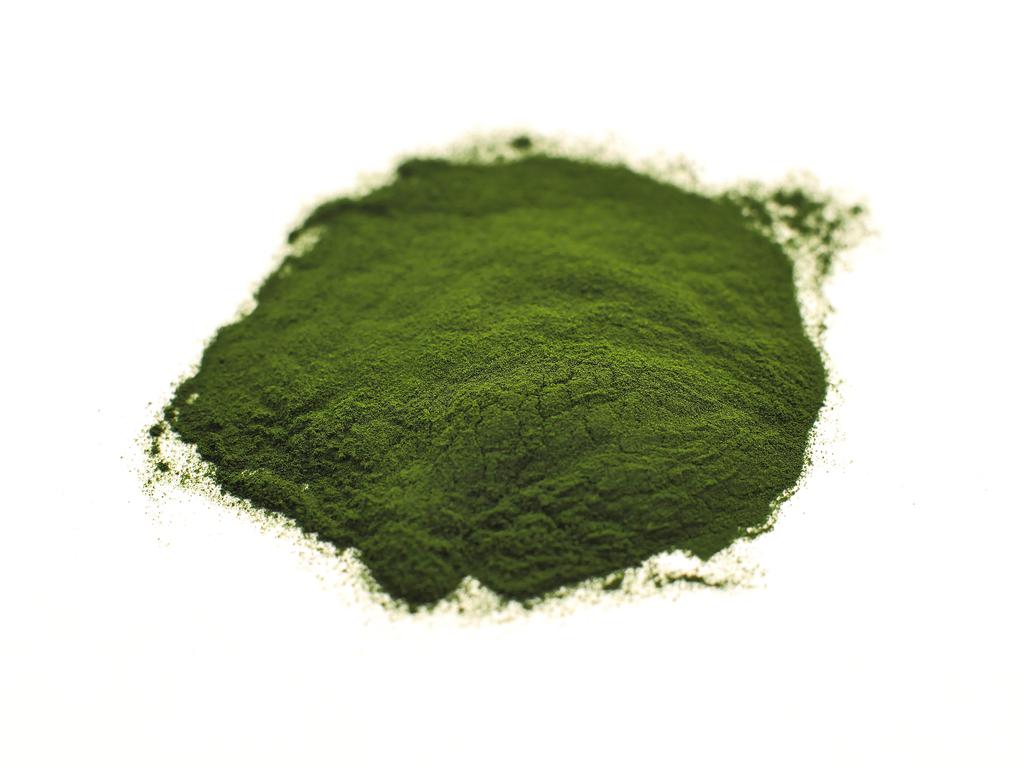 Chlorella Powder, bulk/oz