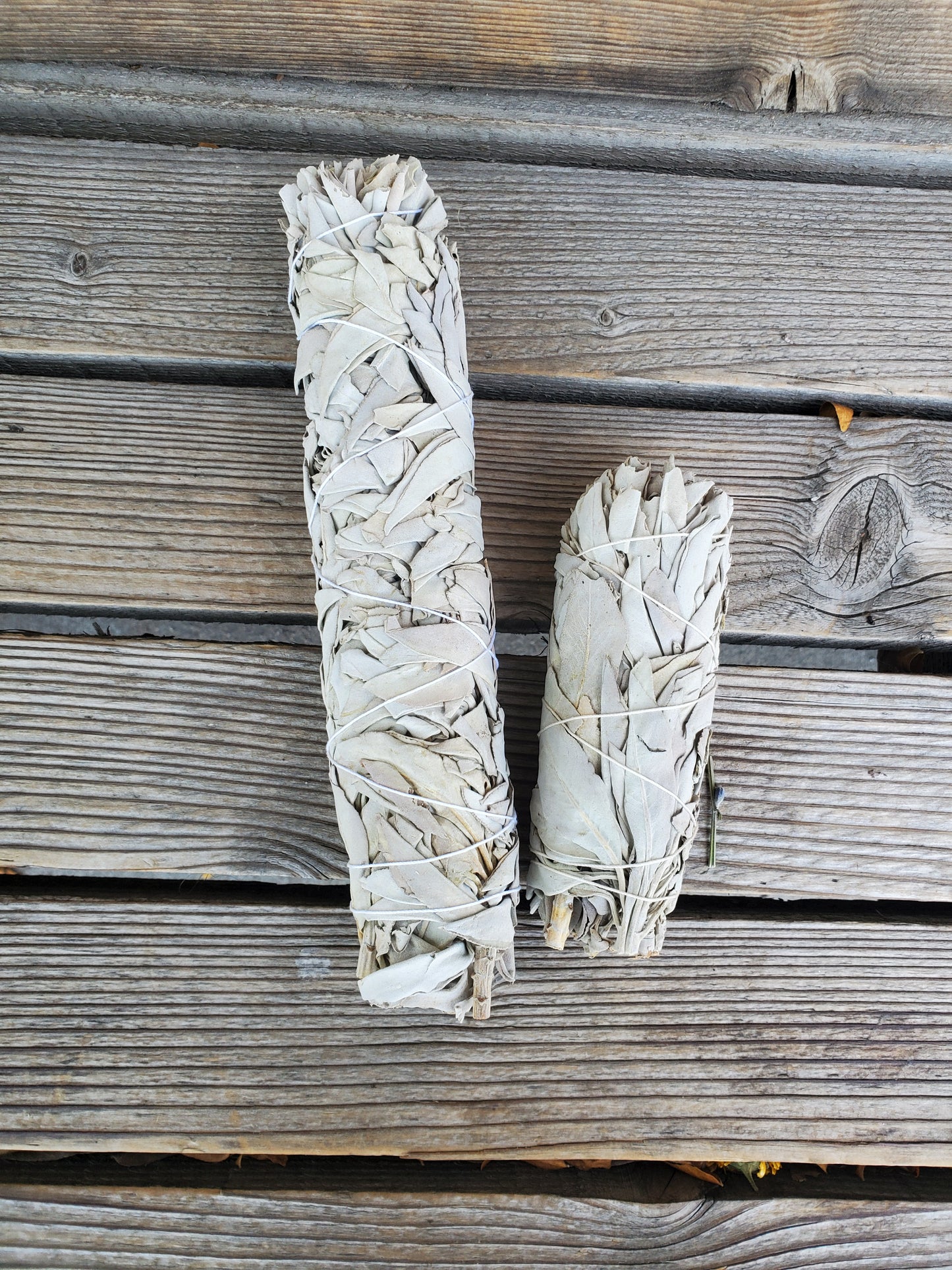 White Sage Bundle