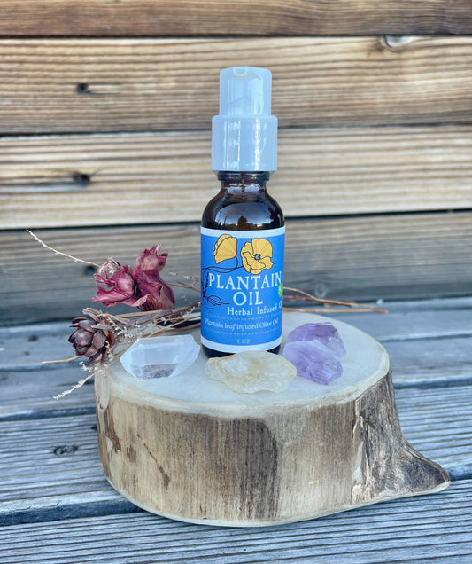 Plantain Leaf Infused Olive Oil, Organic, 1oz bottle