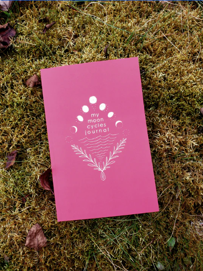 My Moon Cycles Journal: A Menstrual Tracking Journal for Youth