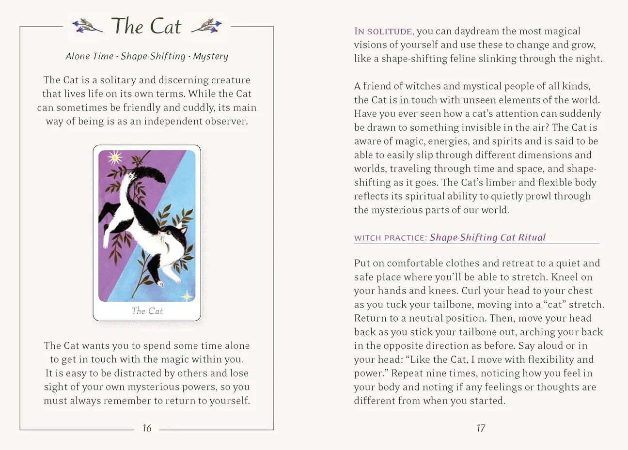 Little Witch's Oracle Deck Symbols, Spells, and Rituals for the Young Witch - Ariel Kusby & Olga Baumert